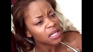 kitten is noisome by a dwarf